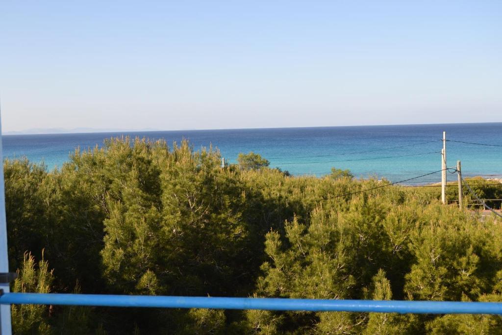 Apartamentos Cas Xurrac Es Calo  Ruang foto